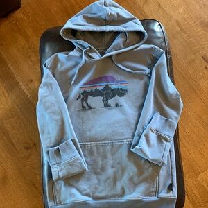 Men’s Patagonia small hooded sweatshirt.